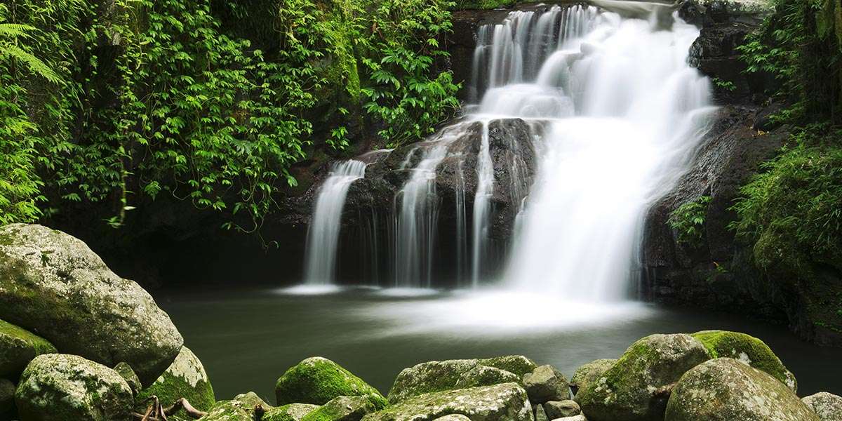 Ukitopia Festival Accommodation 1 murwillumbah accommodation