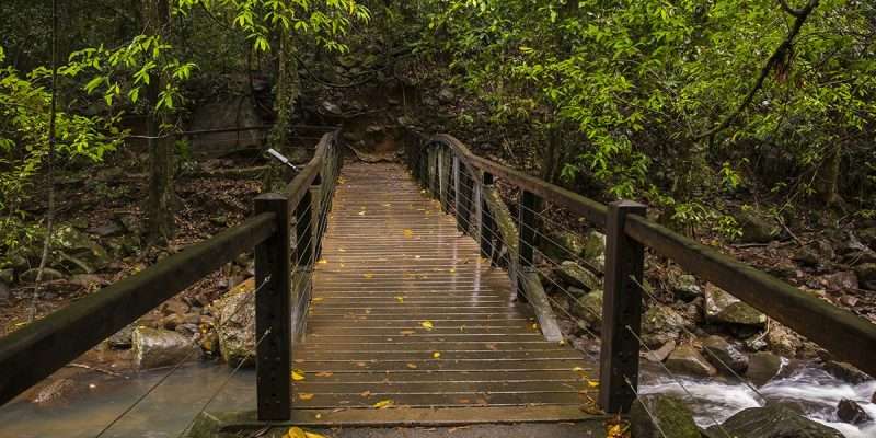 murwillumbah accommodation