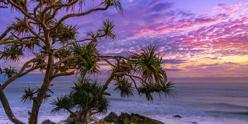 murwillumbah accommodation