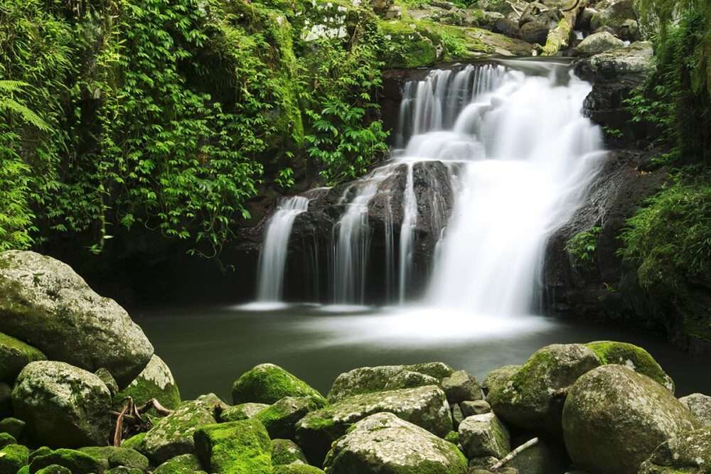 Best Murwillumbah Accommodation: Why Guests Keep Coming Back 4 murwillumbah-accommodation-near-tweed-heads